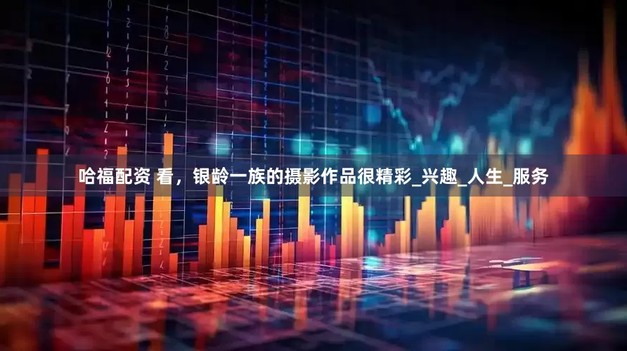 哈福配资 看，银龄一族的摄影作品很精彩_兴趣_人生_服务