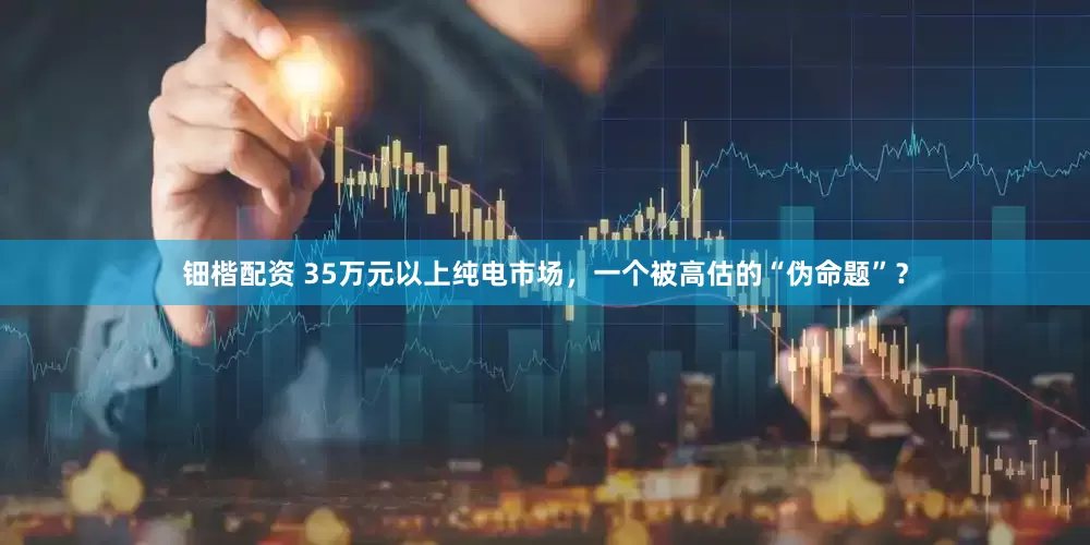 钿楷配资 35万元以上纯电市场,一个被高估的“伪命题”?