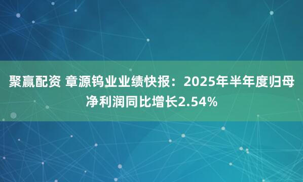 聚赢配资 章源钨业业绩快报:2025年半年度归母净利润同比增长2.54%