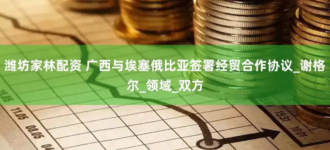 潍坊家林配资 广西与埃塞俄比亚签署经贸合作协议_谢格尔_领域_双方