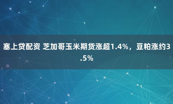 塞上贷配资 芝加哥玉米期货涨超1.4%，豆粕涨约3.5%